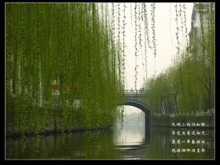 大自然的语言_课件8