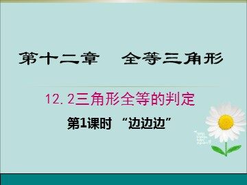 信息技术应用   探究三角形全等的条件