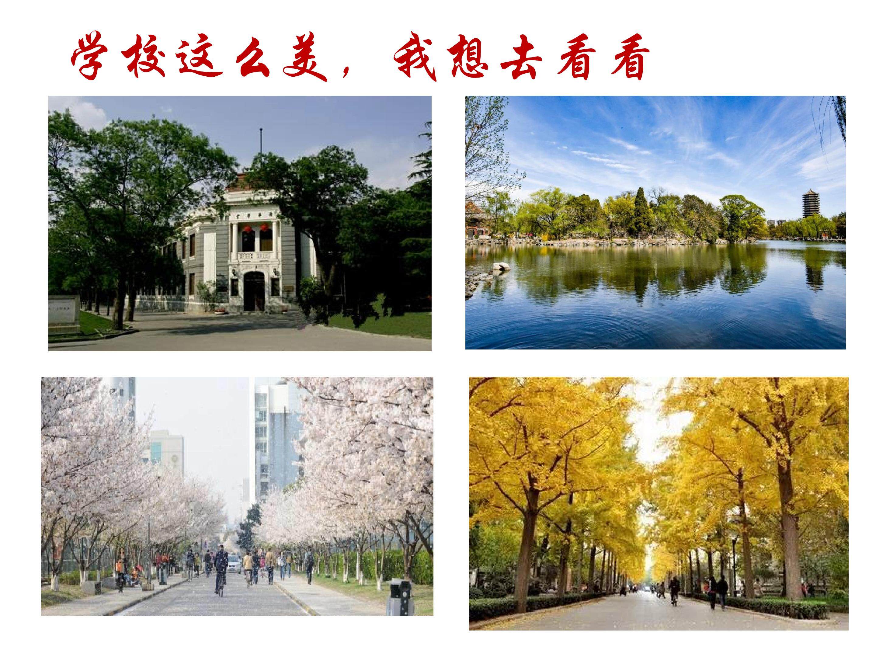 景观设计师