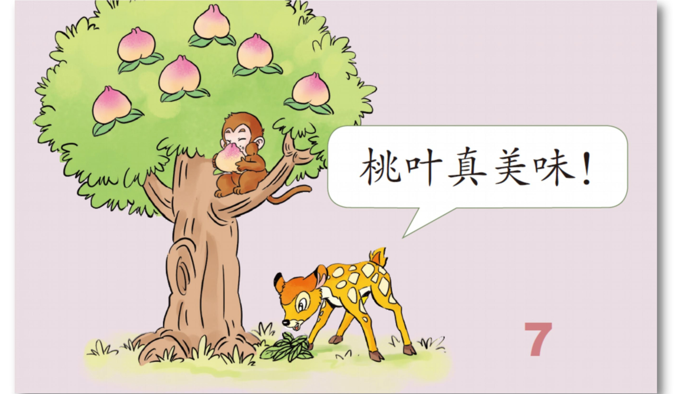 29.jpg