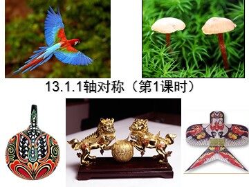 13.1.1轴对称