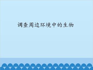 调查周边环境中的生物_课件1