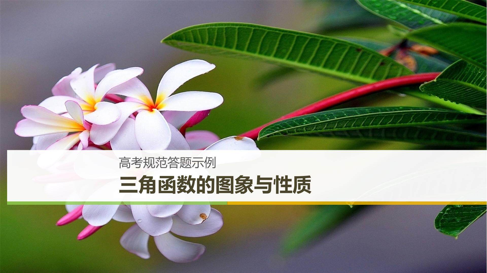 三角函数的图像与性质