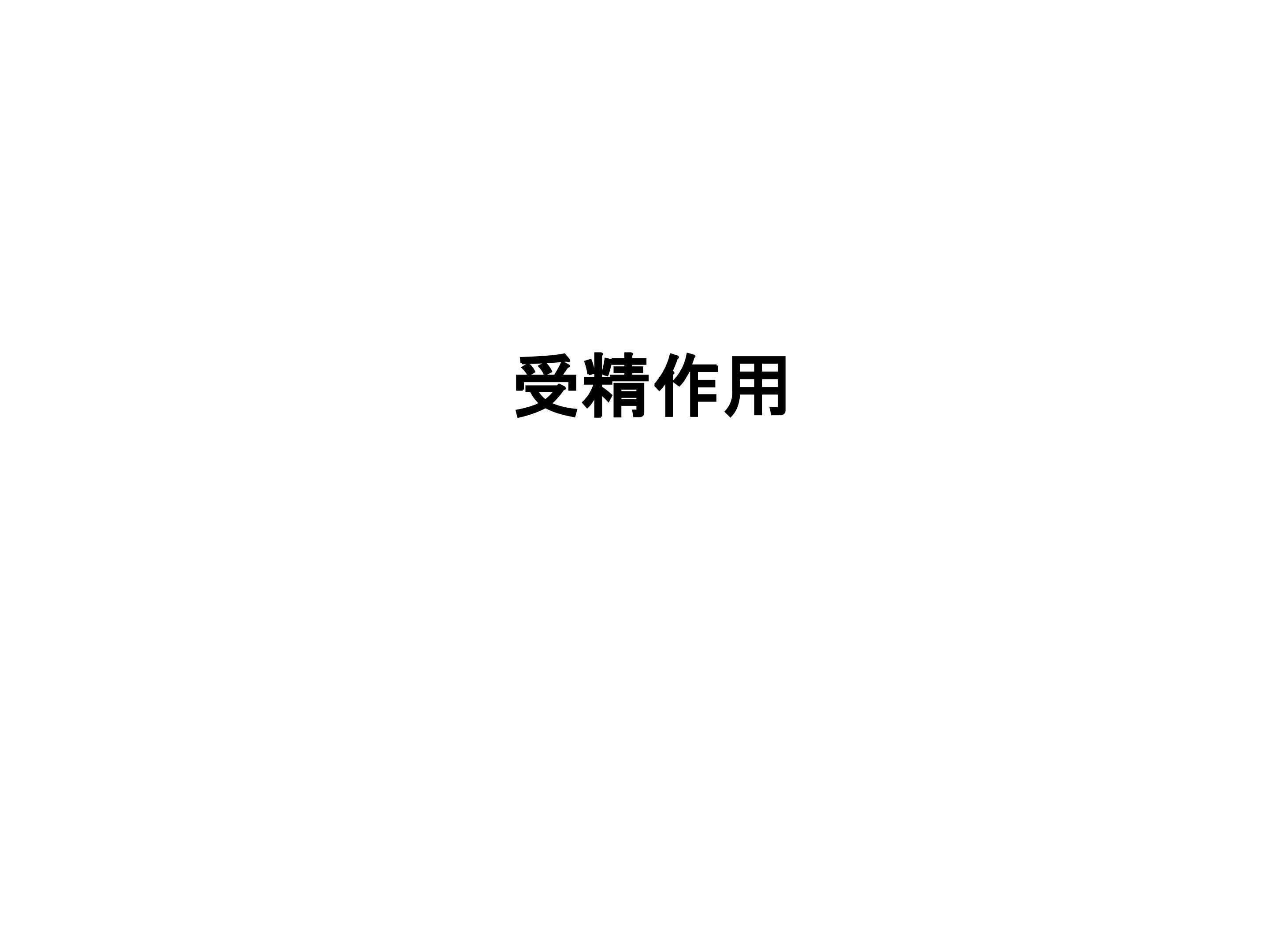 受精作用_课件1