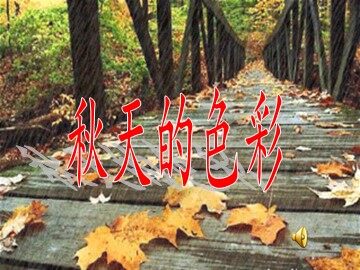 秋天的色彩
