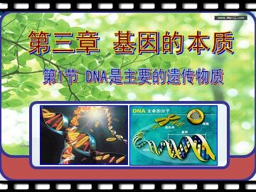 第1节  DNA是主要的遗传物质