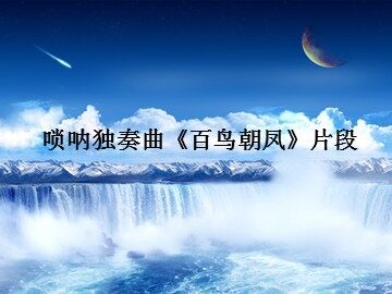 唢呐独奏曲《百鸟朝凤》片段_课件1