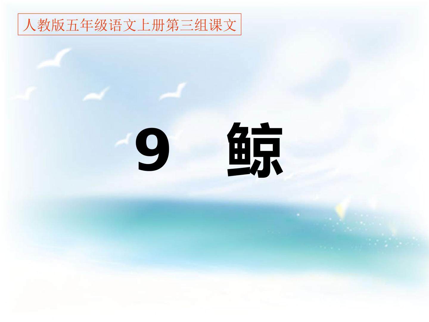 9 鲸