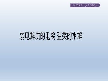 弱电解质的电离 盐类的水解_课件1