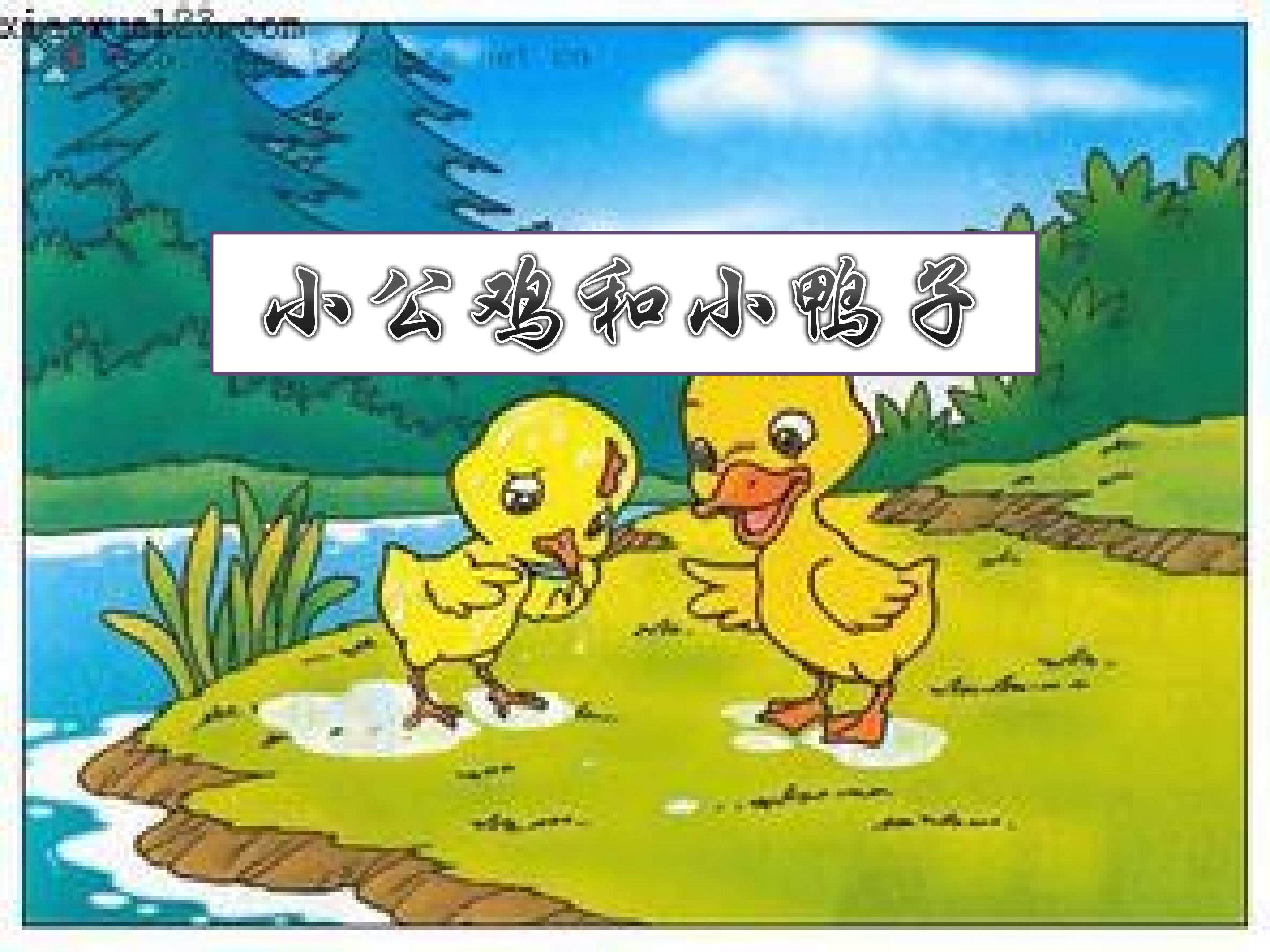 5.小公鸡和小鸭子