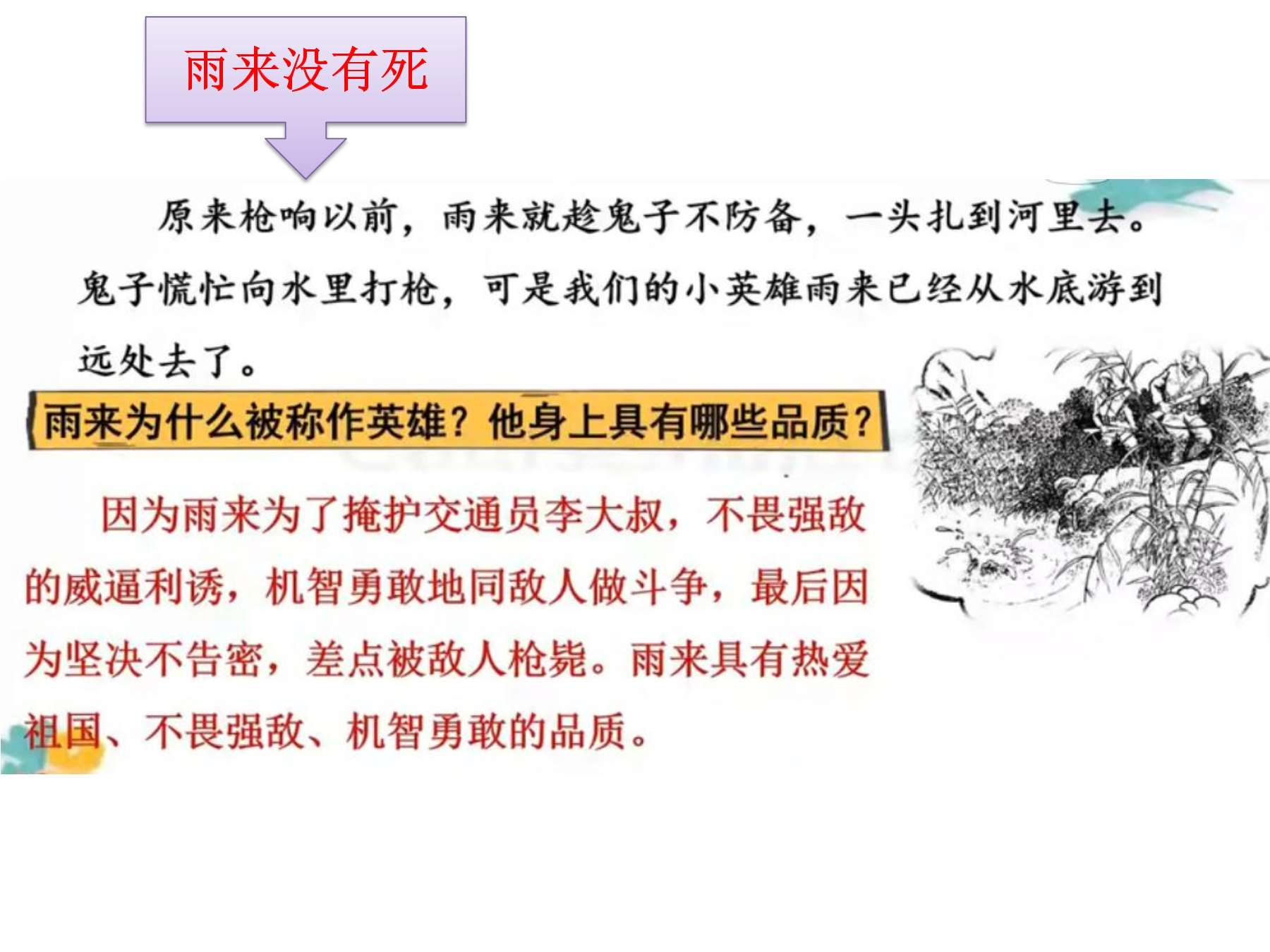 14.jpg