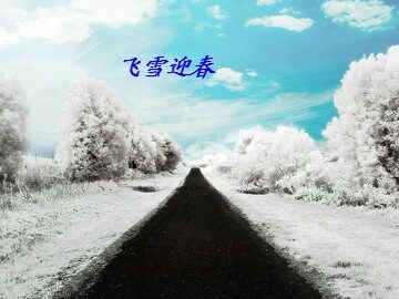 飞雪迎春_课件1