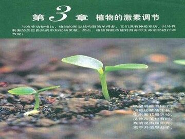 第3节 其他植物激素