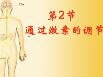生物高中必修3第二章第二节课件12