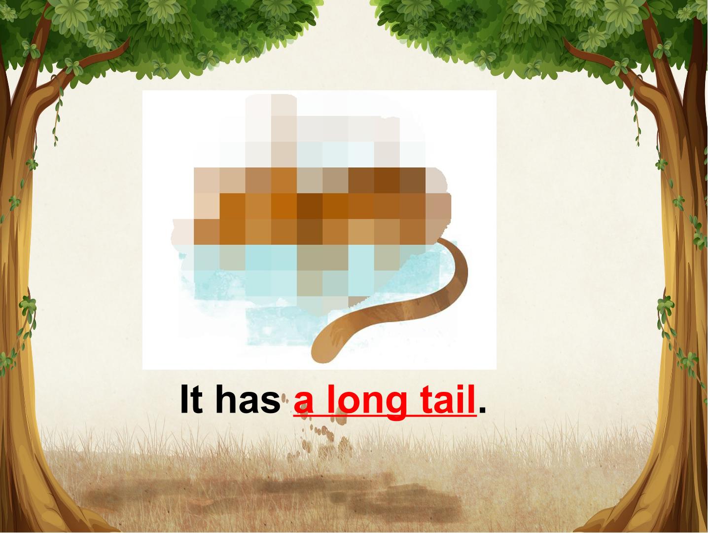 31.jpg