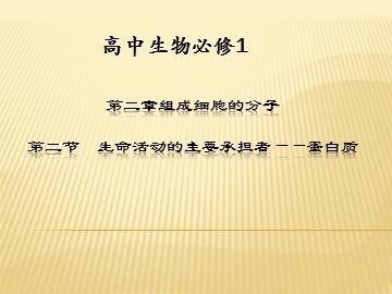 科学史话  世界上第一个人工合成蛋白质的诞生