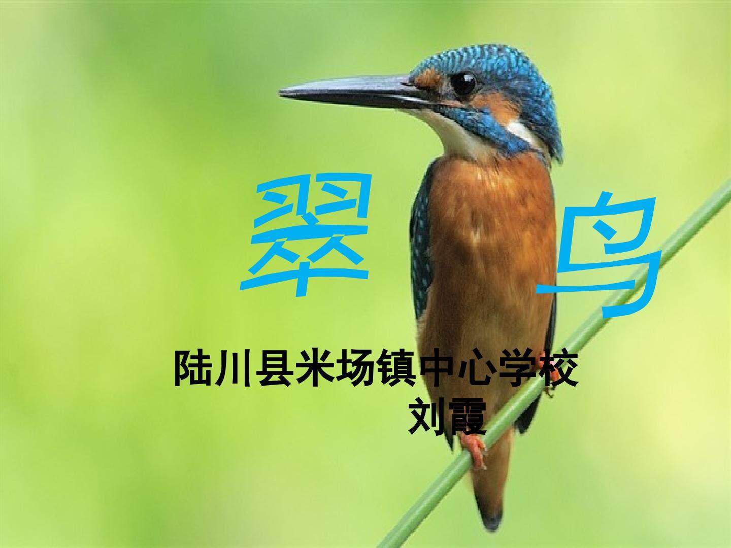 翠鸟