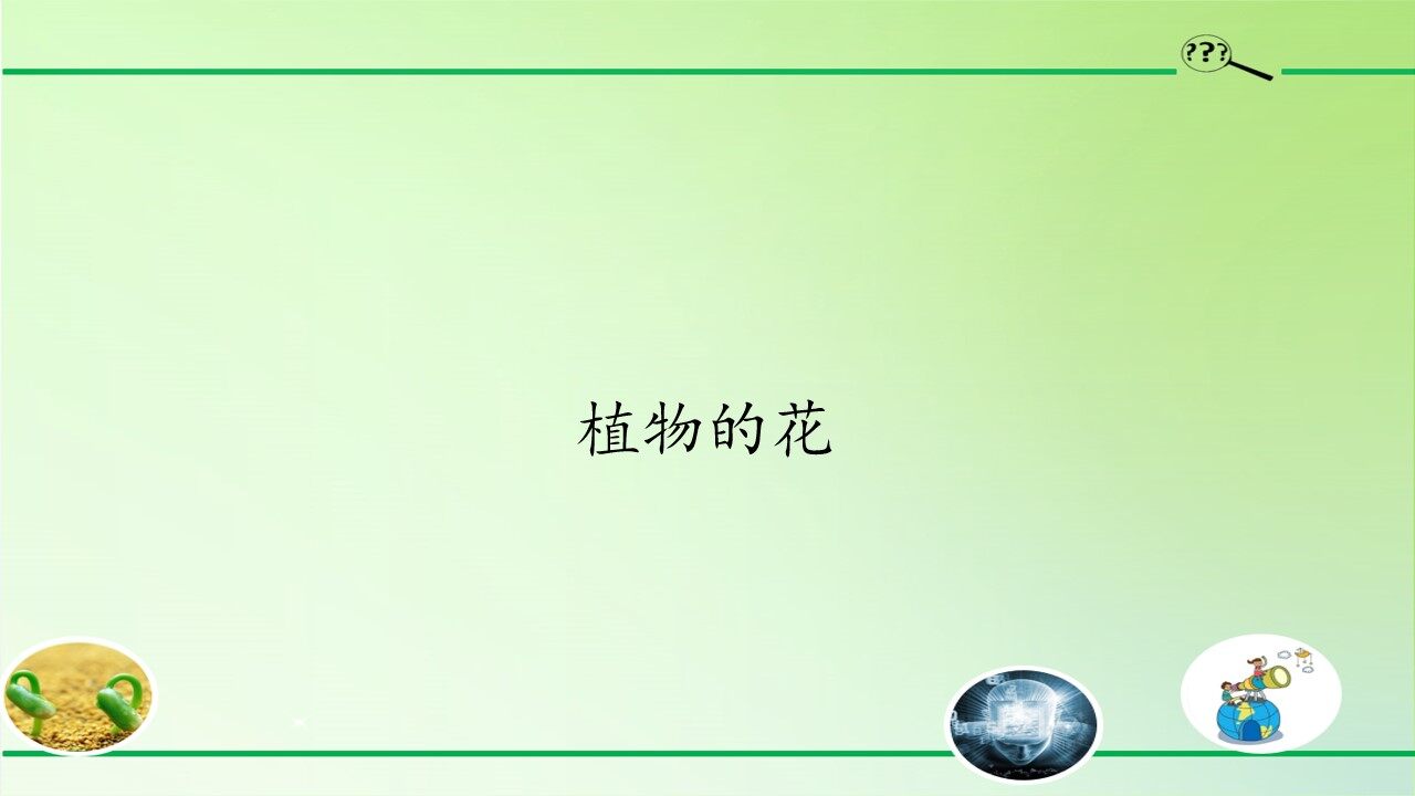 植物的花