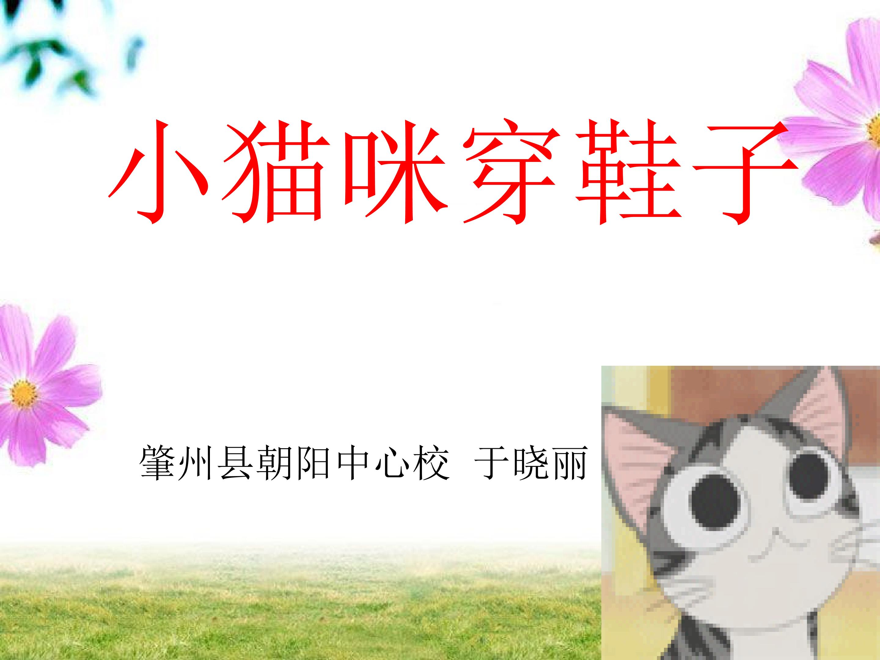 小猫咪穿鞋子