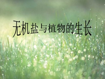 无机盐与植物的生长_课件1