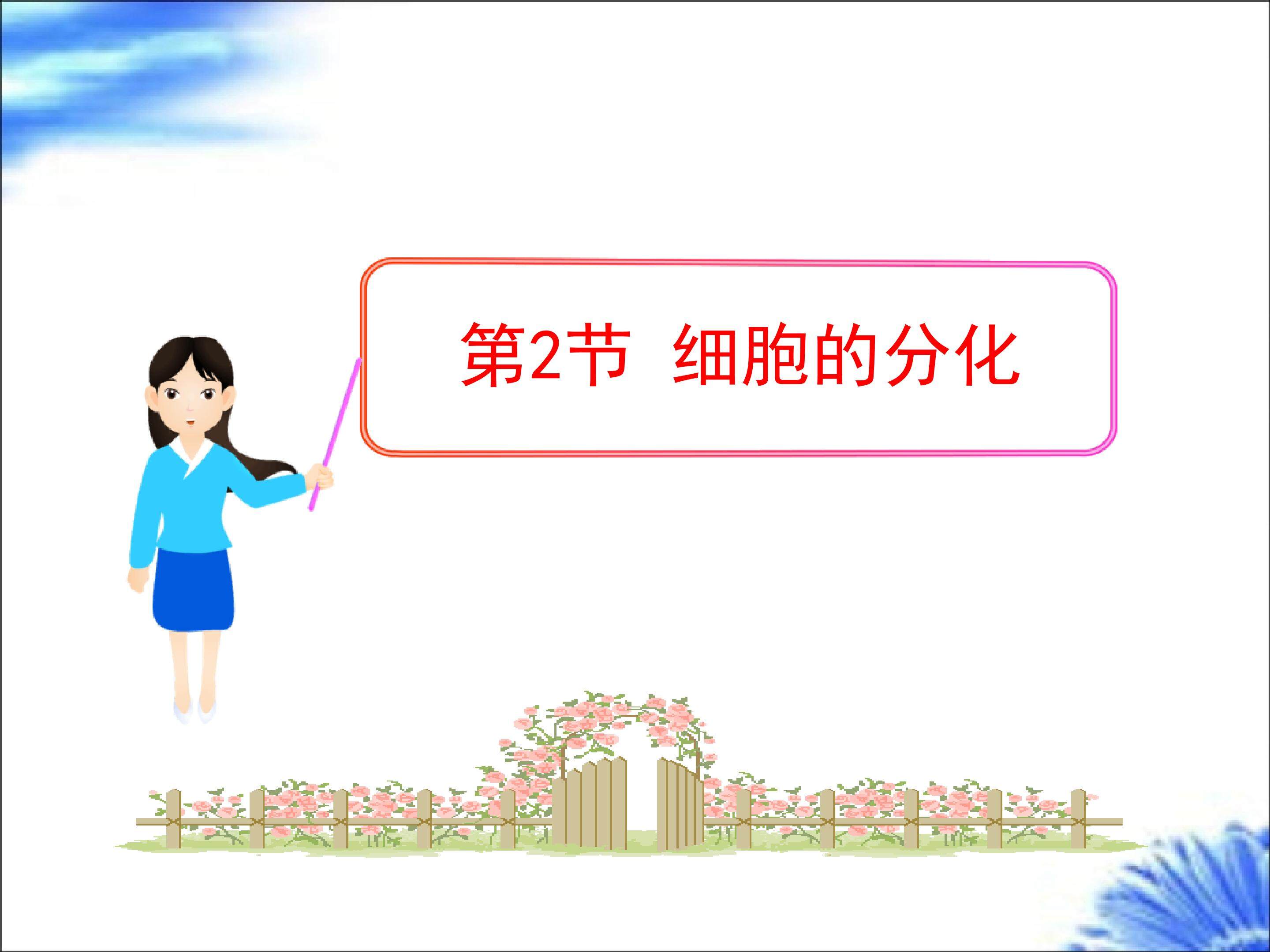 6.2细胞的分化