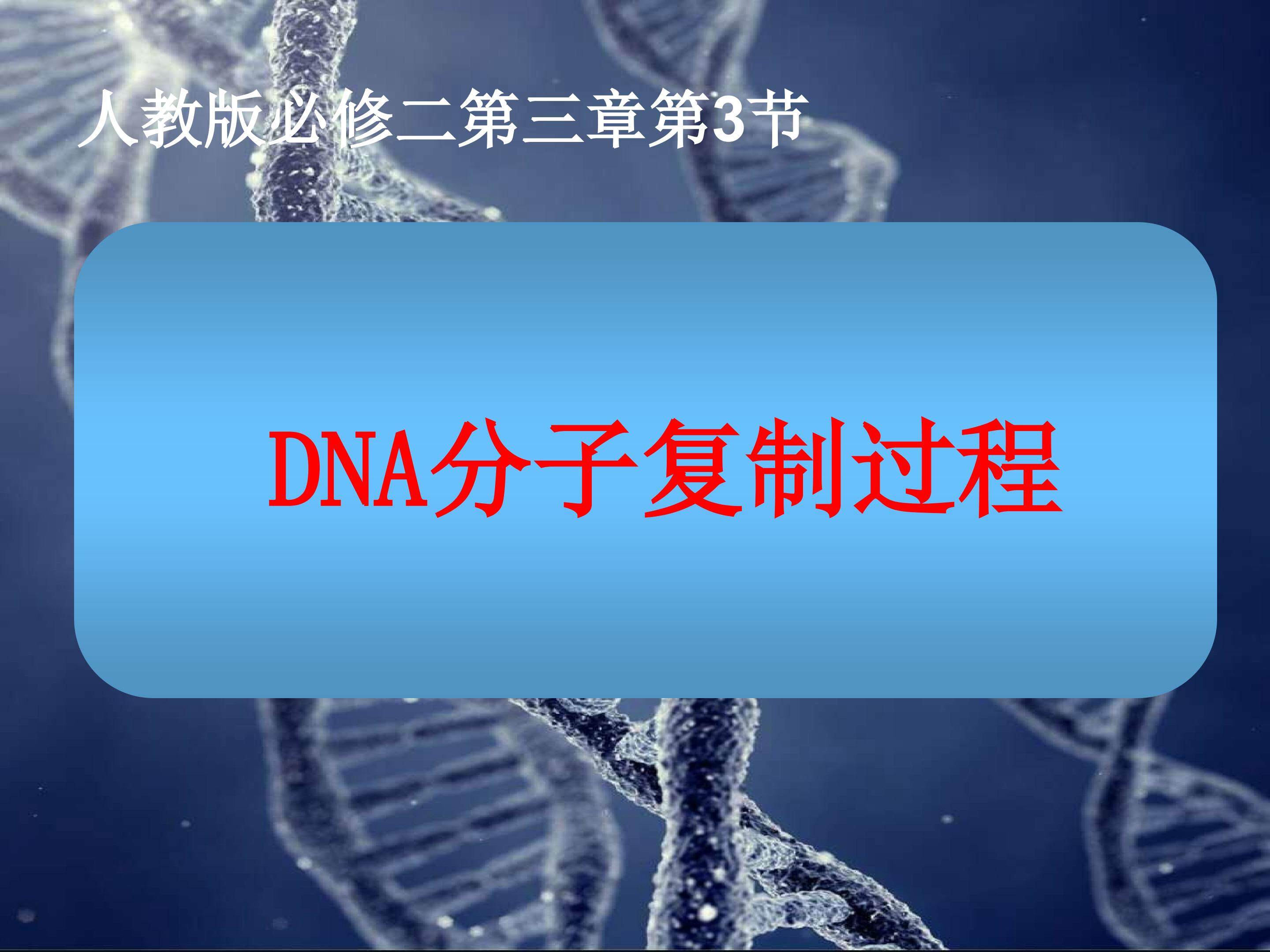 DNA分子的复制过程