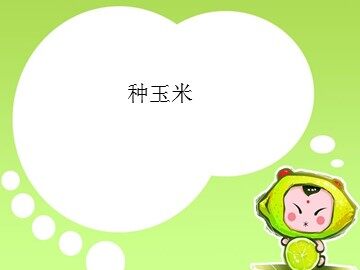 种玉米_课件1