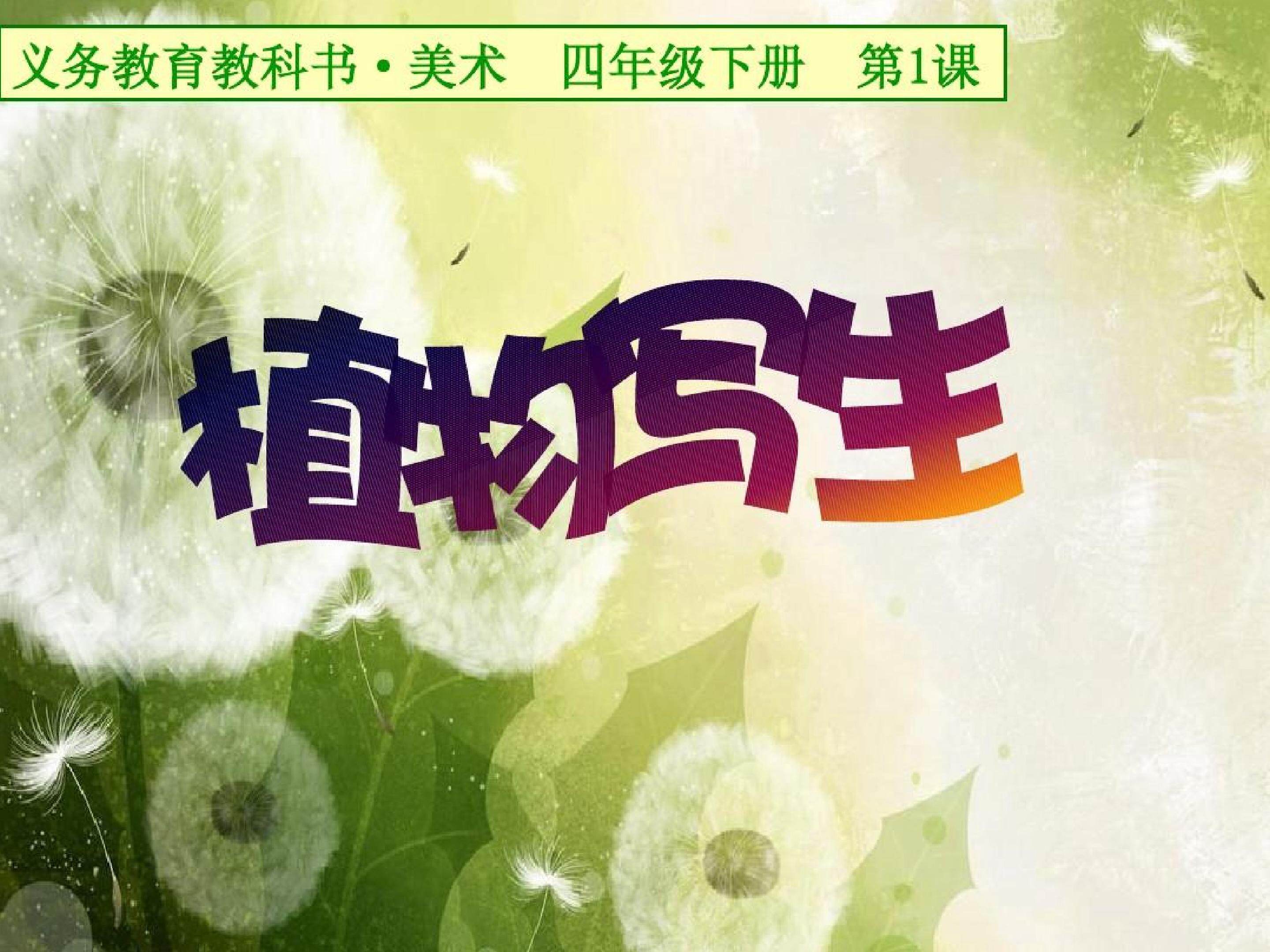 植物写生