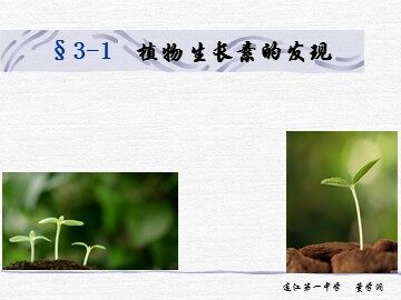 植物生长素的发现