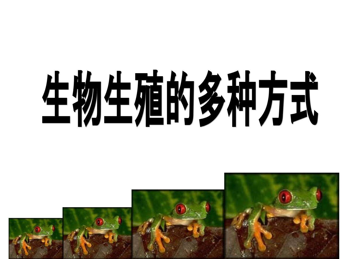 生物生殖的多种方式_课件4