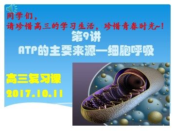 第3节  ATP的主要来源——细胞呼吸