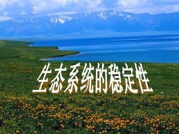 生物高中必修3第五章第五节课件3