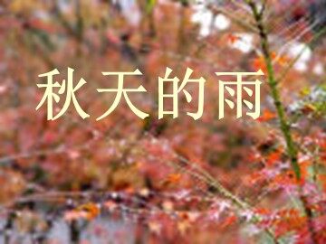 11 秋天的雨