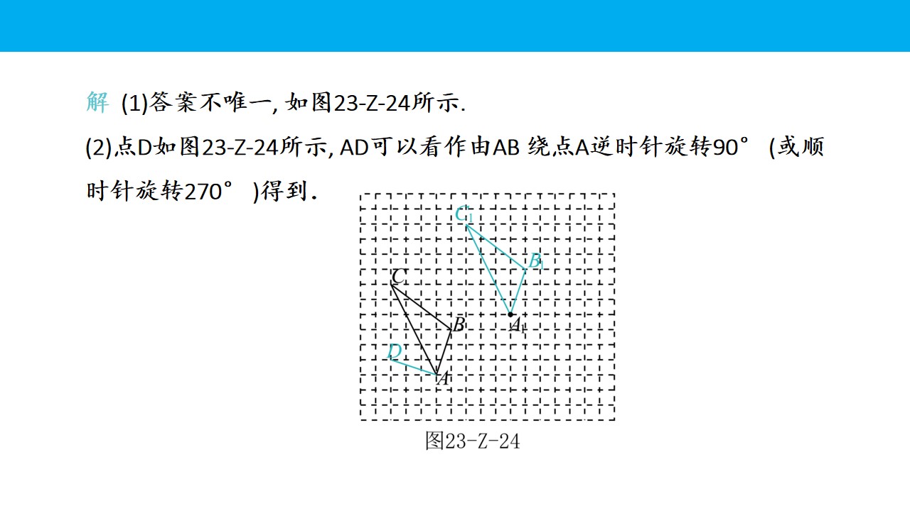 51.jpg
