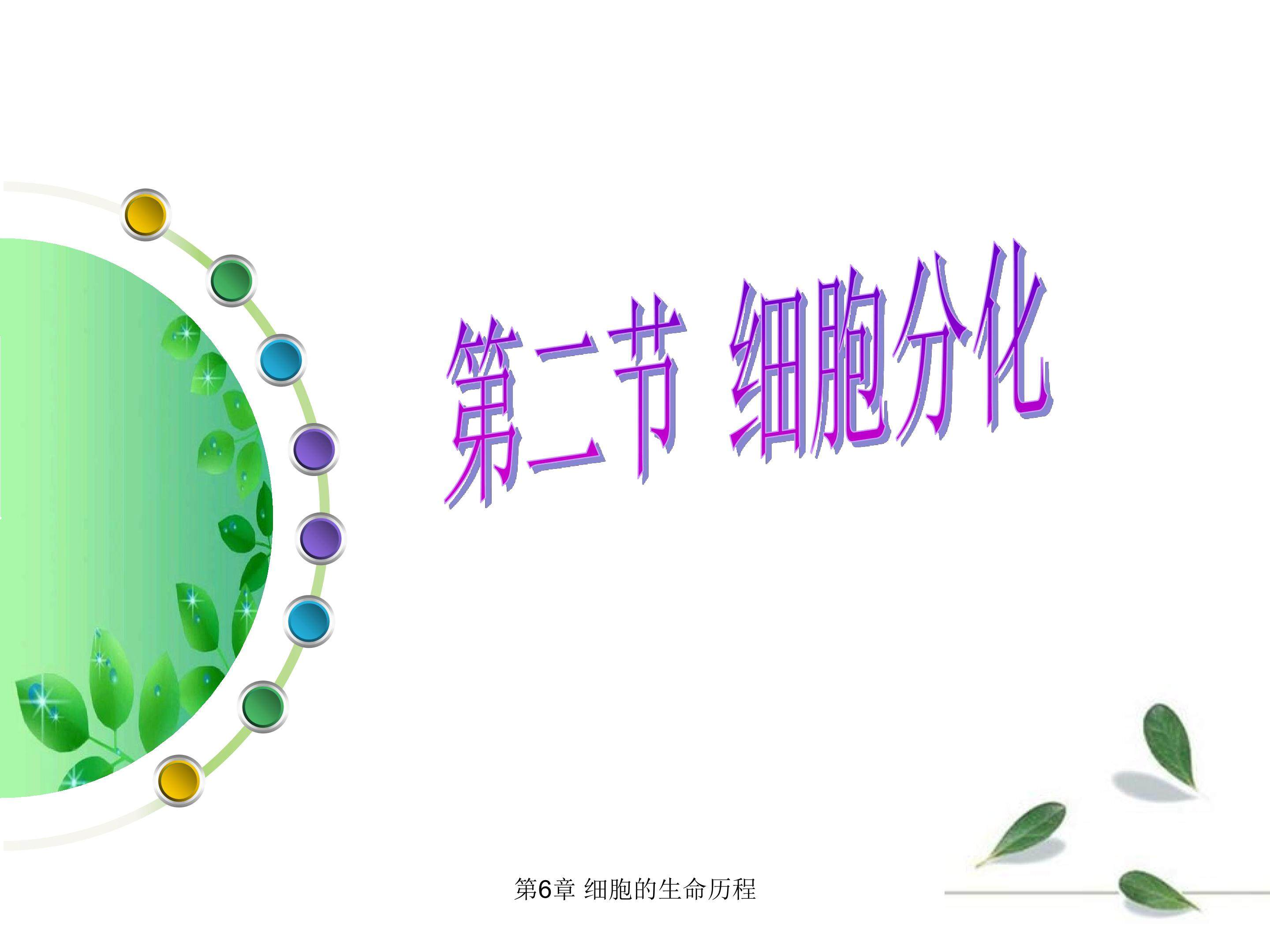 细胞的分化