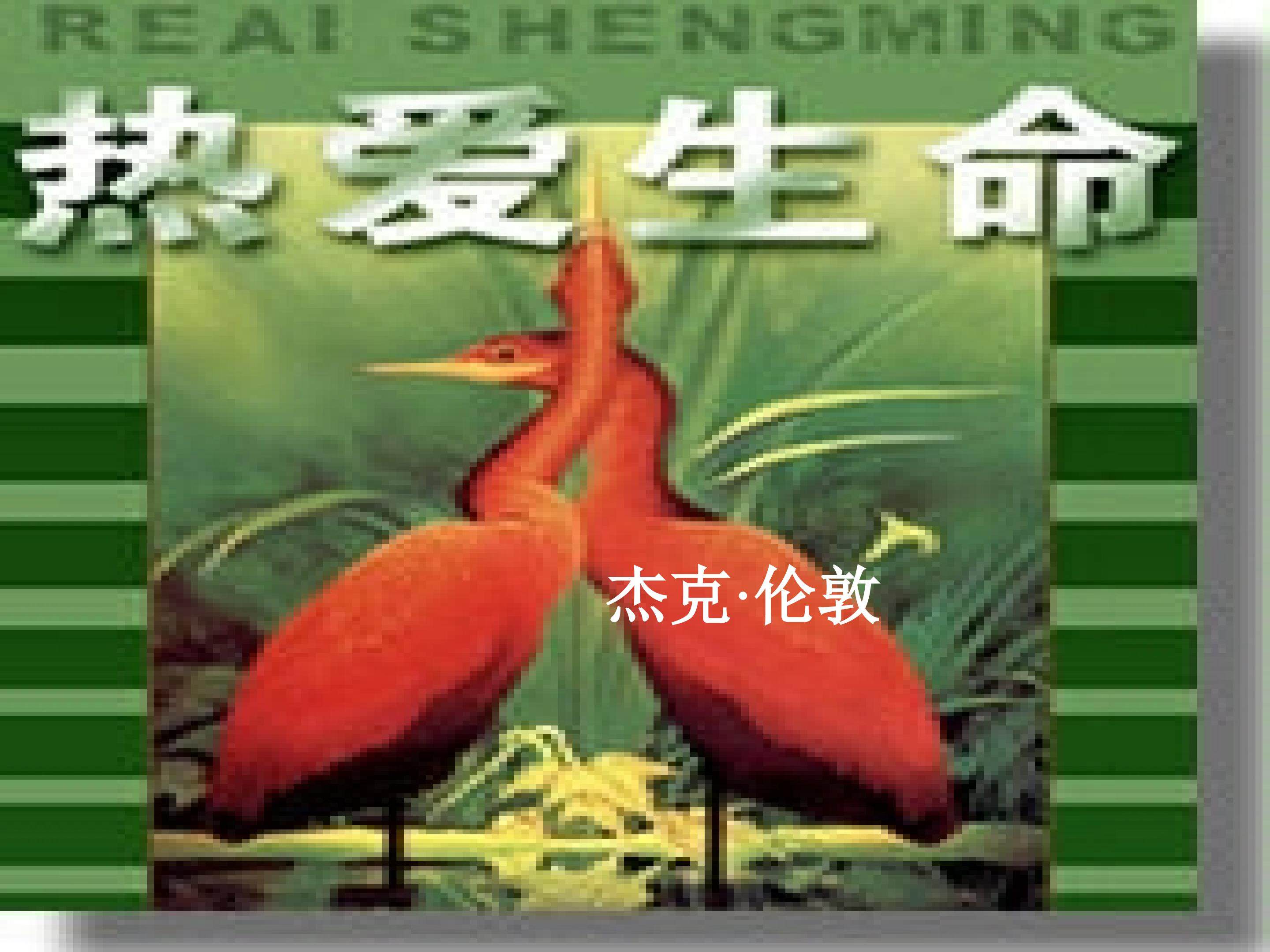 热爱生命_课件7