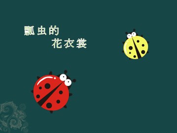 瓢虫的花衣裳_课件1