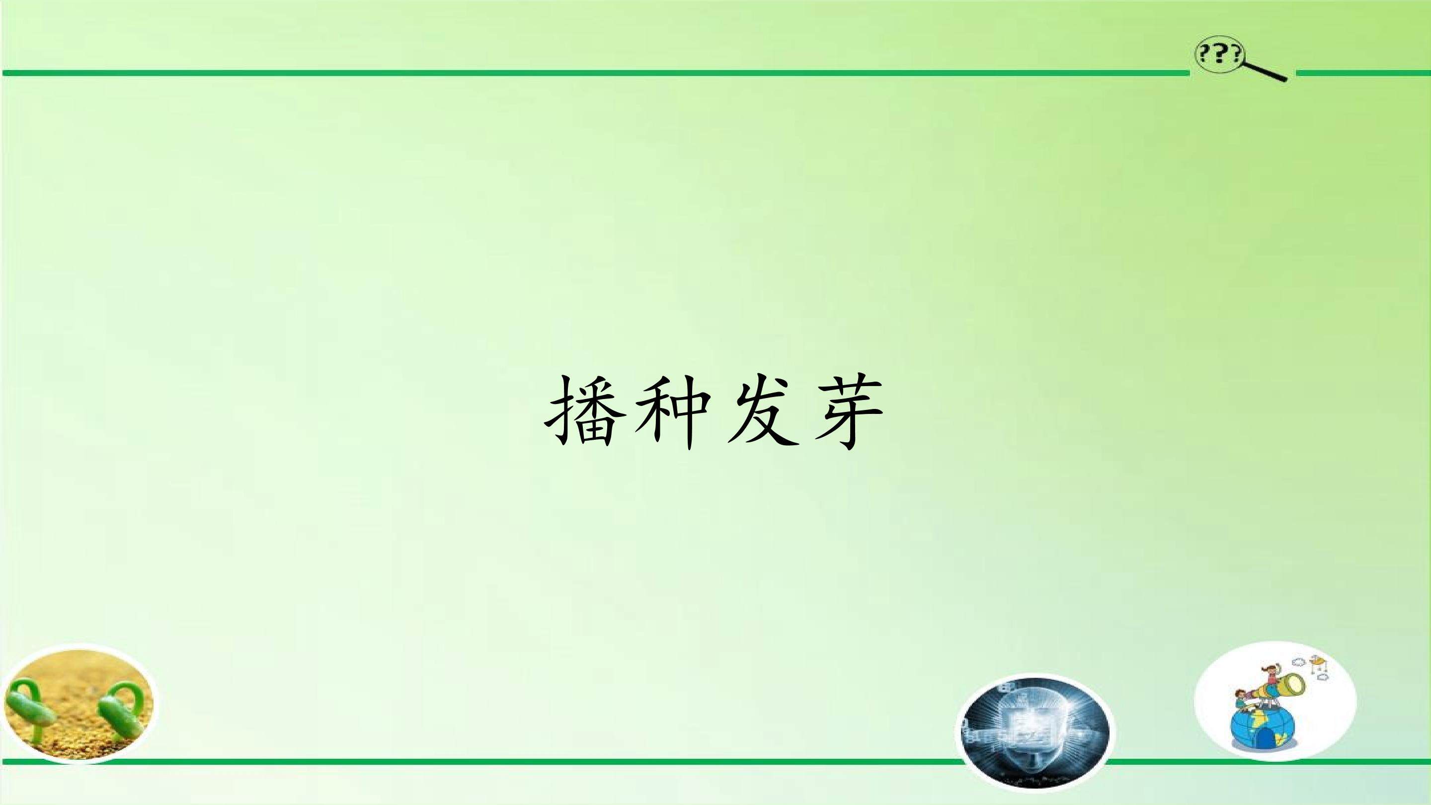 播种发芽