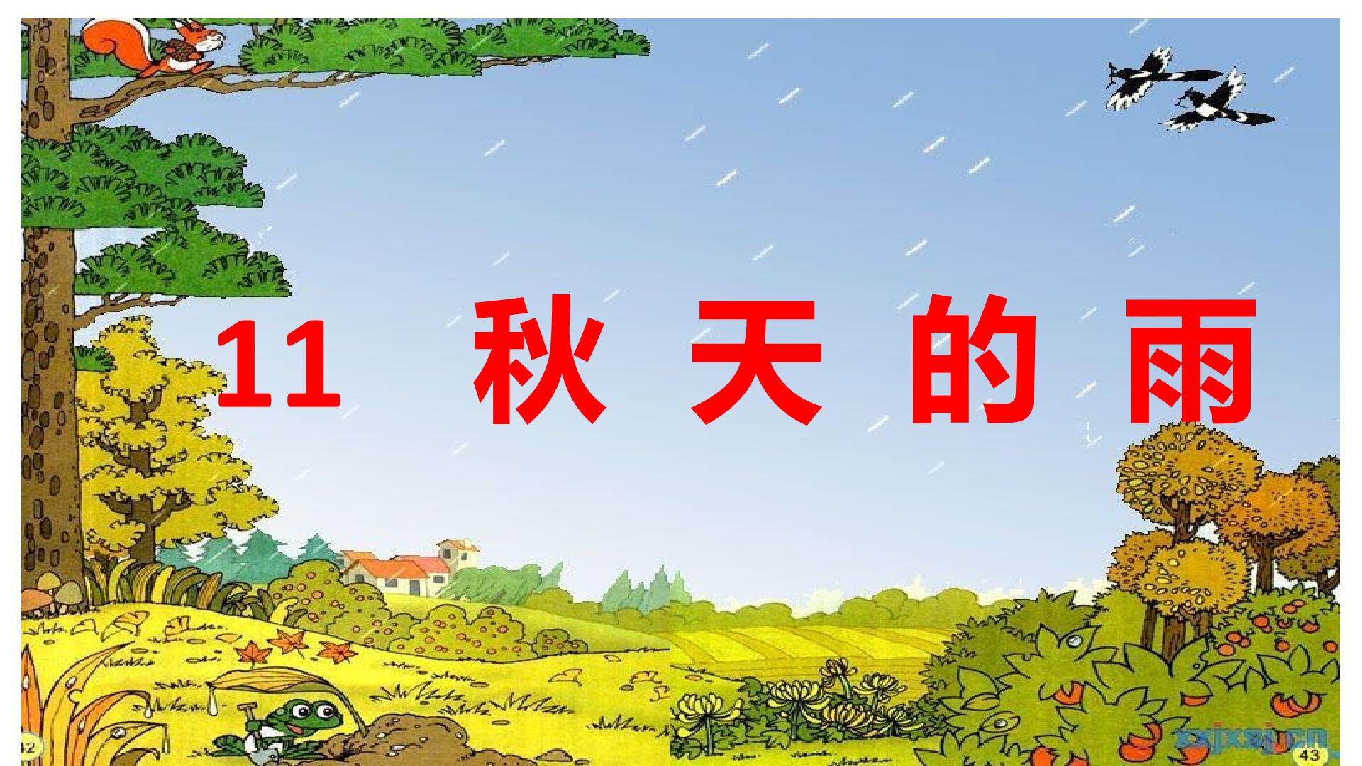 秋天的雨