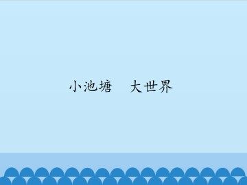 小池塘  大世界_课件1