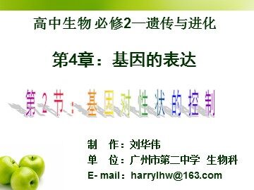生物高中必修2第四章第二节课件1