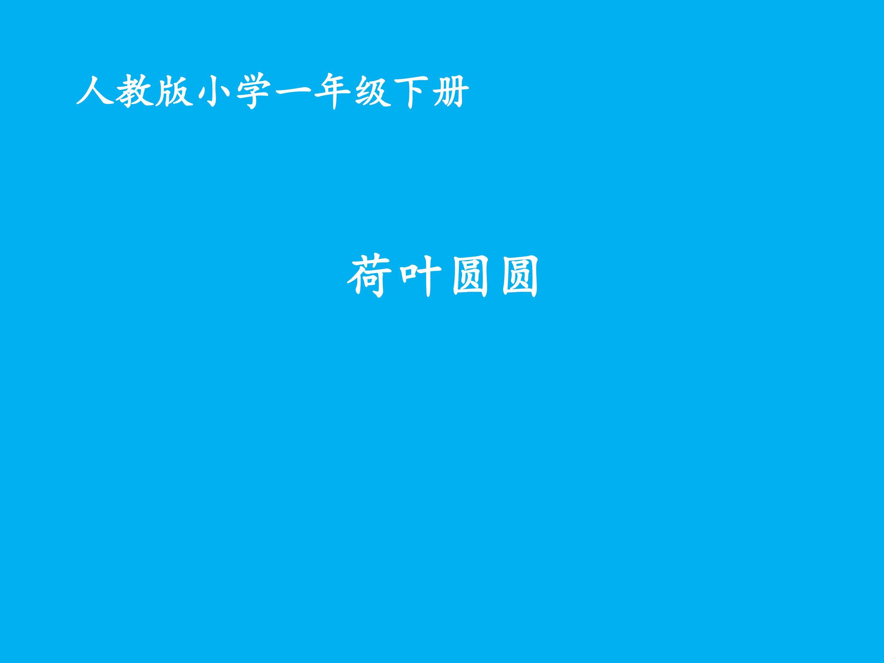 荷叶圆圆