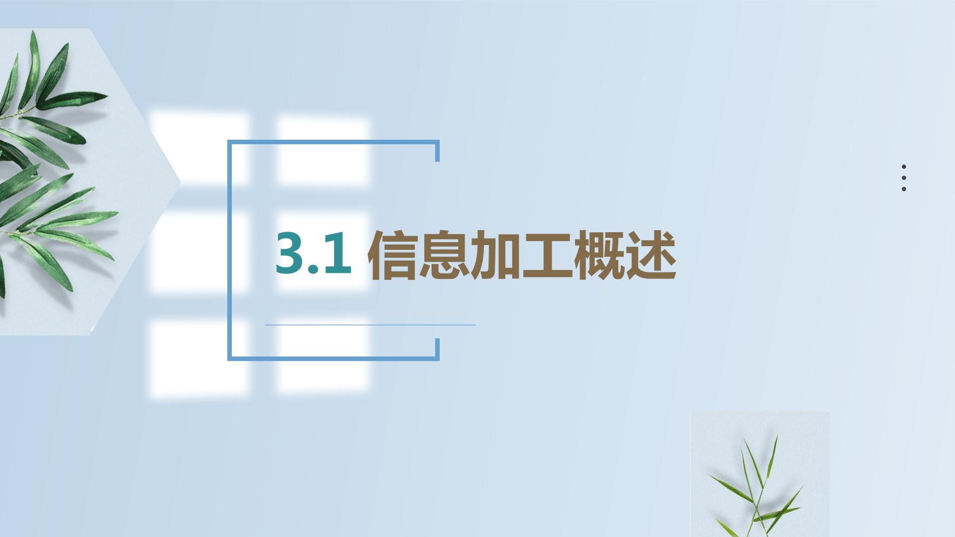 3.1信息加工概述