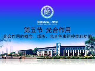 光合作用的概念、场所、光合色素的种类和功能