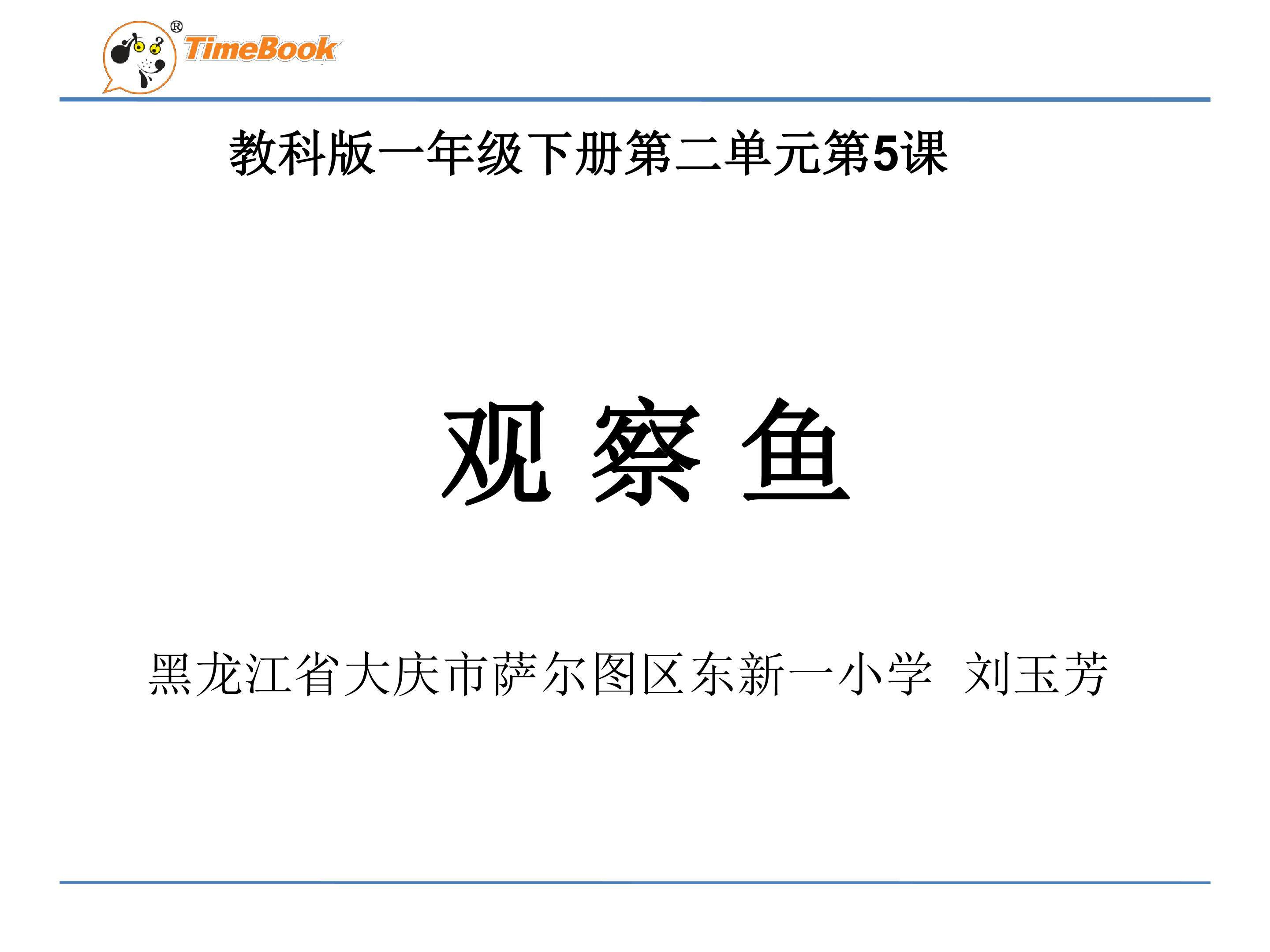 观察鱼