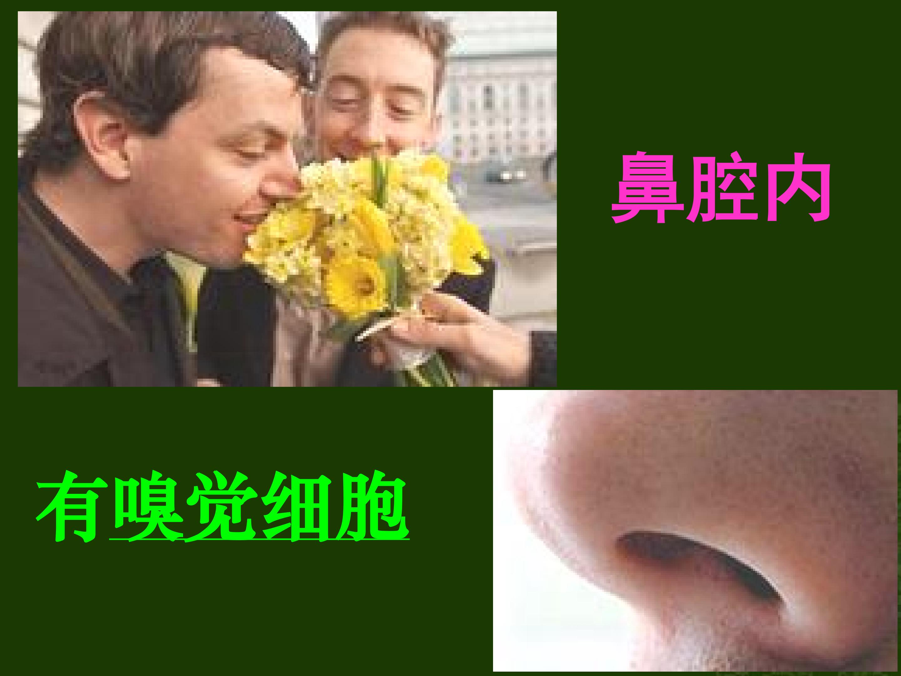 55.jpg