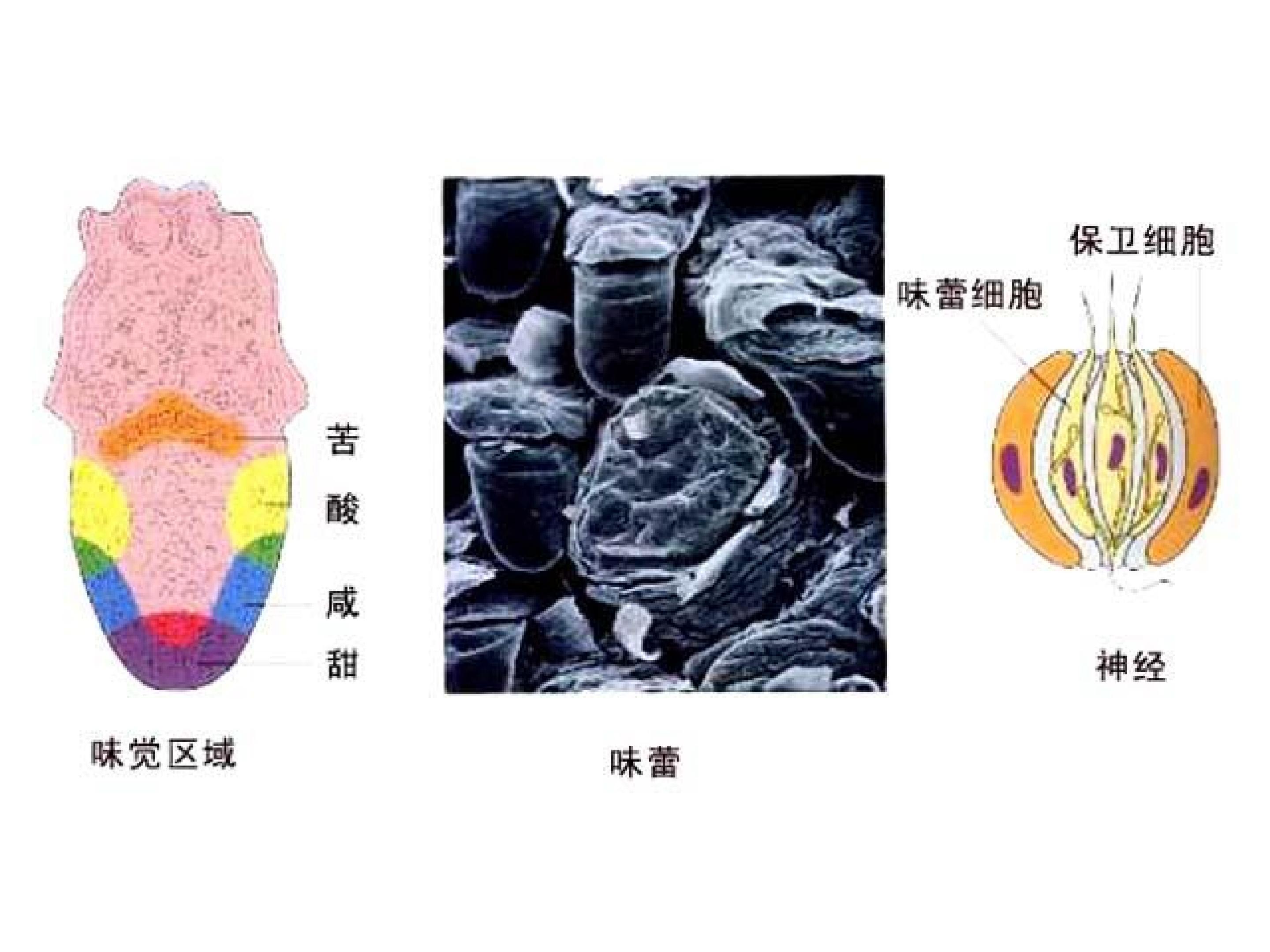 57.jpg