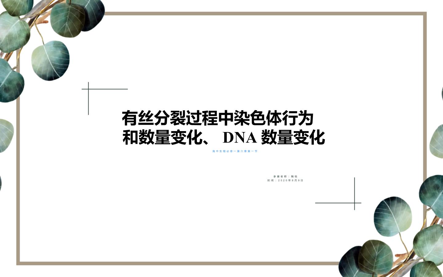 有丝分裂时期的染色体行为和数量变化 、DNA数量变化