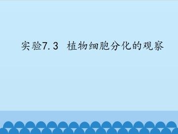 实验7.3  植物细胞分化的观察_课件1