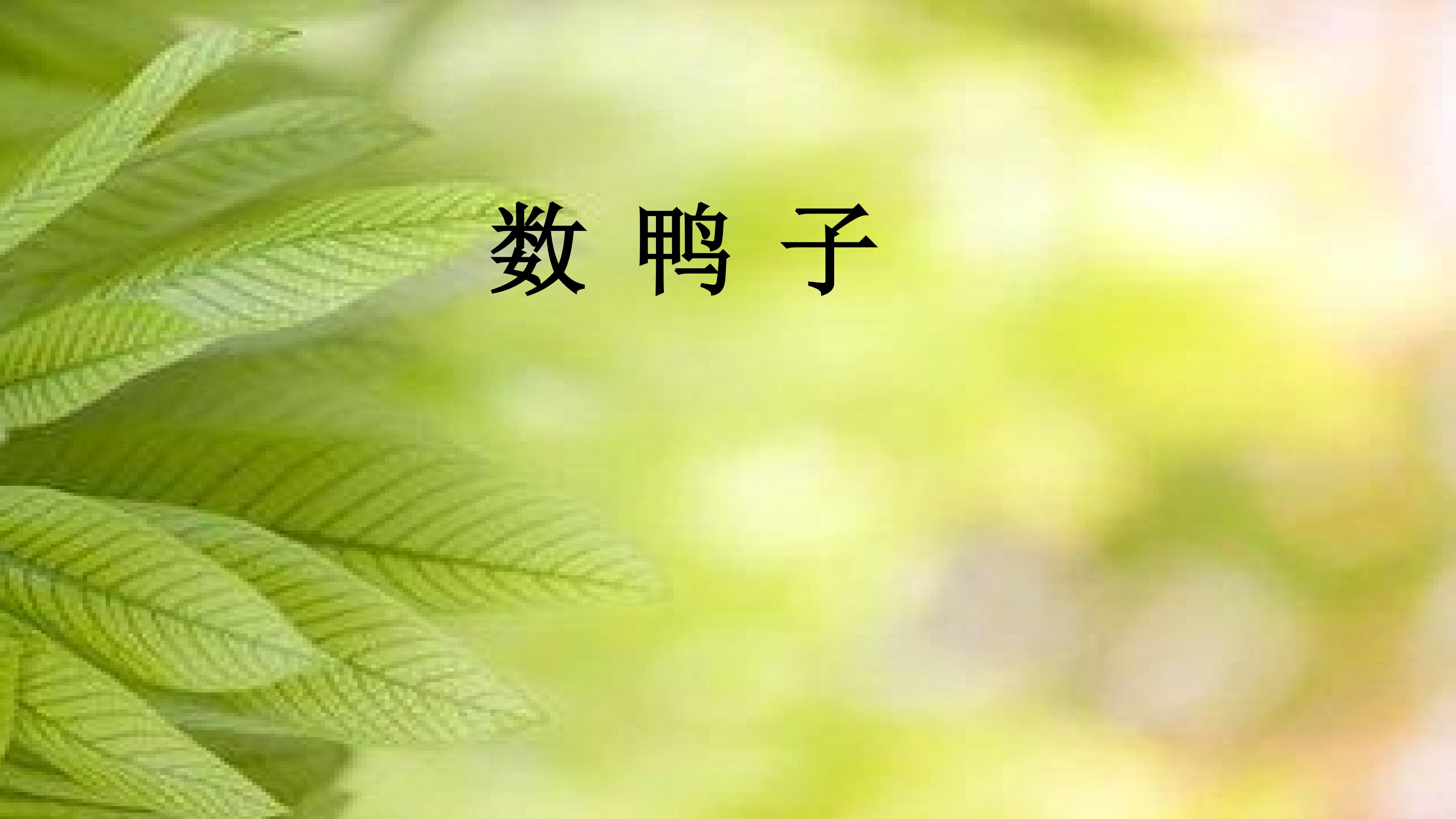 数鸭子